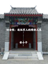四合院：退伍军人的精彩人生